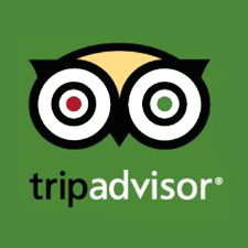 Tripadvisor Link